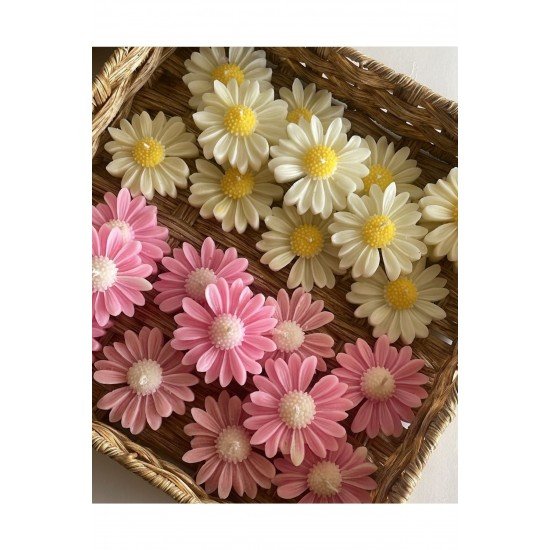 İkili kokuku Beyaz ve Pembe papatya mumu