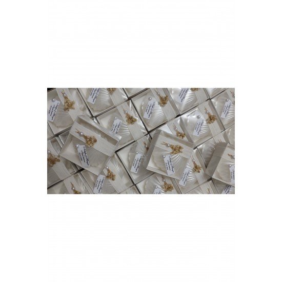 Kutulu Istiridye Mum Düğün, Nişan , Söz ,kına , Mevlüt , Doğum Günü , Yılbaşı Hediyelik- 10 Adet