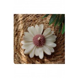 12 Adet Söz, Nişan, Düğün, Kına, Nikah Kartlı Papatya Hediyelik, Papatya