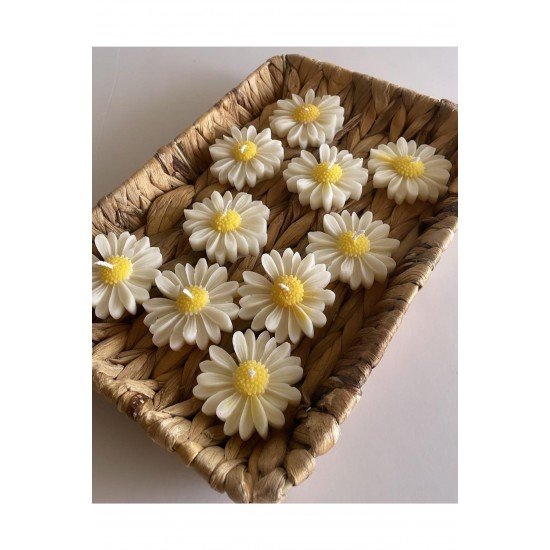 İkili kokuku Beyaz ve Pembe papatya mumu