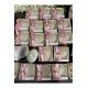 25 Adet Pembe Kurdeleli Mum