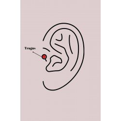 Özel Çelik Renk Pembe Zirkon Taşlı Kalp Tragus Piercing Fırsat!!!