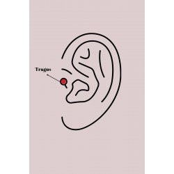 Özel Çelik Renk Zirkon Taş Detay Kanat Model Tragus Piercing Fırsat!!!