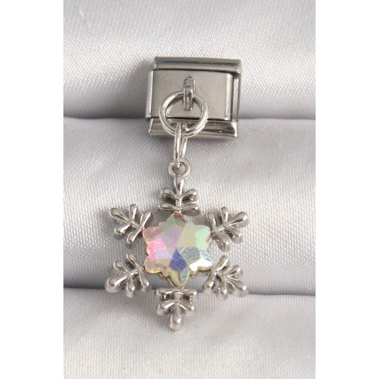 Özel Çelik Renk Hologram Mineli Kar Tanesi Model Nomination Charm Fırsat!!!