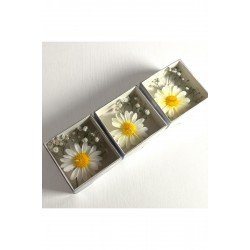 Pinterest Papatya Mum Kraft Kutu Şeffaf Kapak - 1 Adet