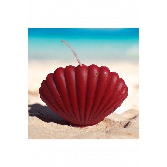 1 Adet Istiridye Mum Düğün Nişan Mevlüt Süsü Büyük Boy