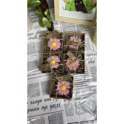 Kutulu papatya Mum Söz, Nişan, Nikah, Mevlüt, Doğum günü, Düğün,Yılbaşı Hediyelik_5Adet