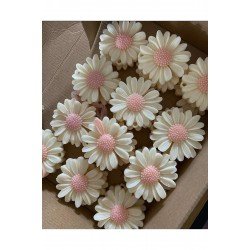 5li papatya, suda yüzen mum, El Yapımı Papatya Çiçek Mum