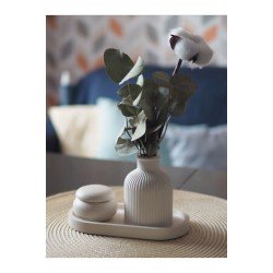 Dekoratif Tepsi İskandinav Vazo ve Kapaklı Minik Yuvarlak Kutu Beton Set