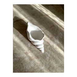 İstiridye Dekoratif Tabak/ Takı Organizeri / Beton Obje