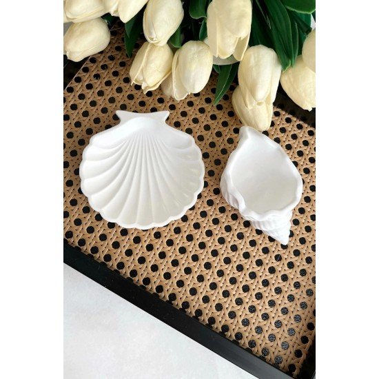 2'li Beyaz Taş tozu Deniz Kabuğu Ve Istiridye Set