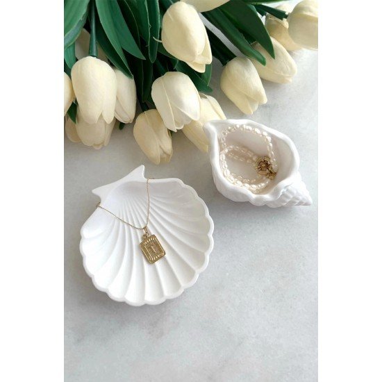 2'li Beyaz Taş tozu Deniz Kabuğu Ve Istiridye Set