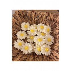 Equinox Hediyelik Dekoratif Papatya mum Suda yüzer (5 adet)