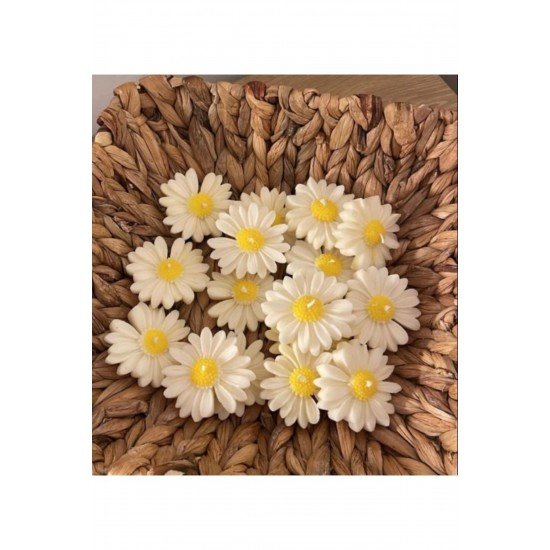 Equinox Hediyelik Dekoratif Papatya mum Suda yüzer (5 adet)