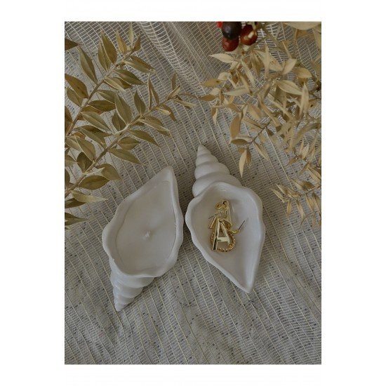 2 Li Pinterest Deniz Kabuğu Biblo/takılık