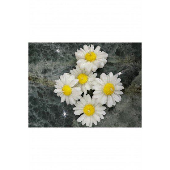 Equinox Hediyelik Dekoratif Papatya mum Suda yüzer (5 adet)