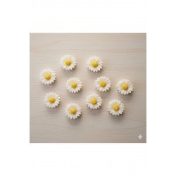 Şık Papatya Mumlar – Dekoratif Mini Mum Seti 10 Adet