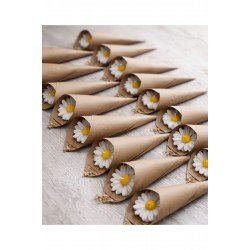 Kişiye Özel İsimli Doğum Günü, Kına, Düğün, Nişan ve Söz Hediyeliği – Papatya Temalı Set (15 Adet)