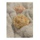 Pinterest Şakayık Mum 2’li Set, Gül Mum