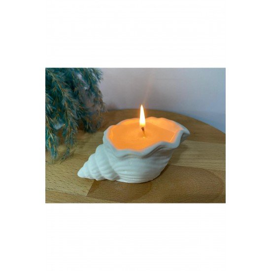 Bernami Deniz Kabuğu Dekoratif Mum