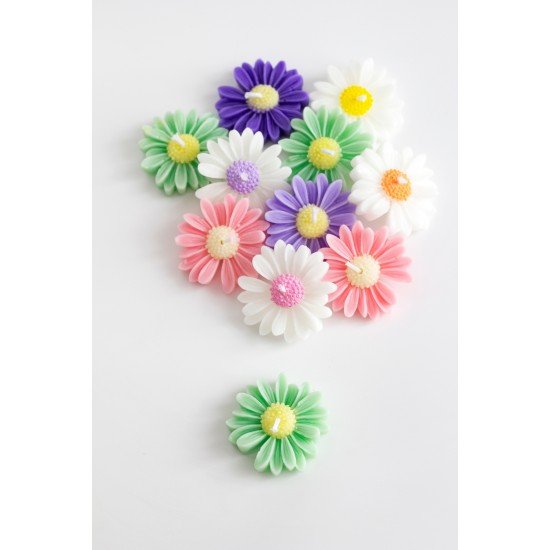 Bernamioffcial 10’lu Renkli Papatya Mum