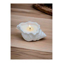 Dekoratif Istiridye Kasede Mum Deniz Kabuğu Obje