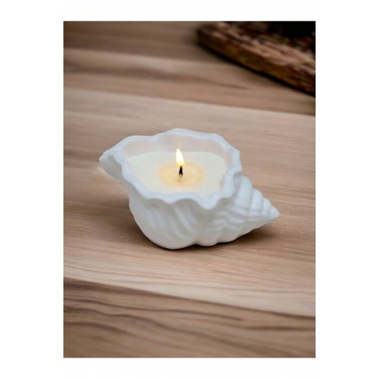 Dekoratif Istiridye Kasede Mum Deniz Kabuğu Obje