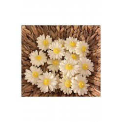 50 adet Hediyelik papatya mum