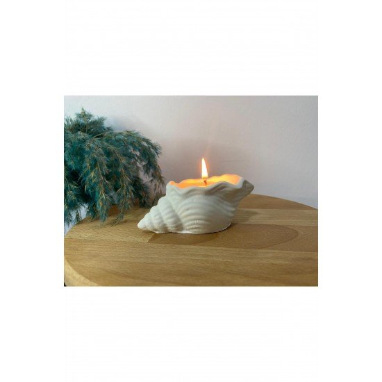 Bernami Deniz Kabuğu Dekoratif Mum
