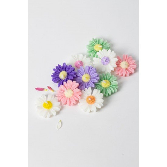 Bernamioffcial 10’lu Renkli Papatya Mum