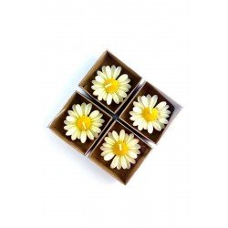 Pinterest 20 Adet Kraft Kutulu Papatya Mum, Söz, Nişan, Düğün, Kına, Doğum Günü, Özel Günler, Hediye