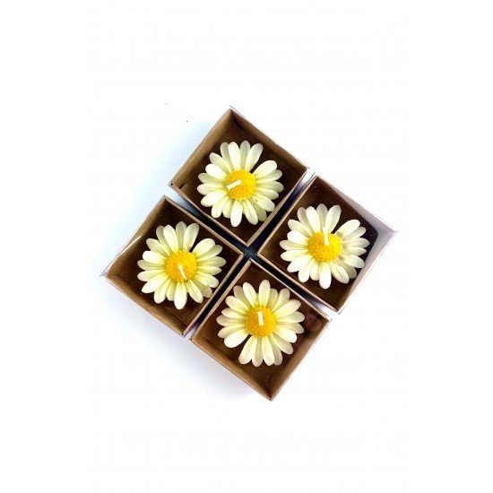 Pinterest 20 Adet Kraft Kutulu Papatya Mum, Söz, Nişan, Düğün, Kına, Doğum Günü, Özel Günler, Hediye