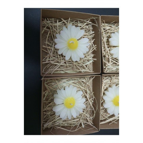 20 Adet Pinterest Süslemeli Kutulu Papatya Mum, Nikah Şekeri, Doğum, Bebek mevlüdi, Baby Shower