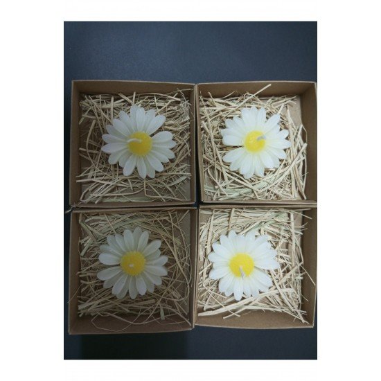 20 Adet Pinterest Süslemeli Kutulu Papatya Mum, Nikah Şekeri, Doğum, Bebek mevlüdi, Baby Shower