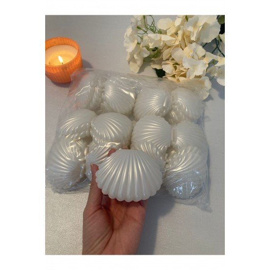 Pinterest İstirdiye kabuğu mumluk. Boş istirdiye kabuğu.20 adet