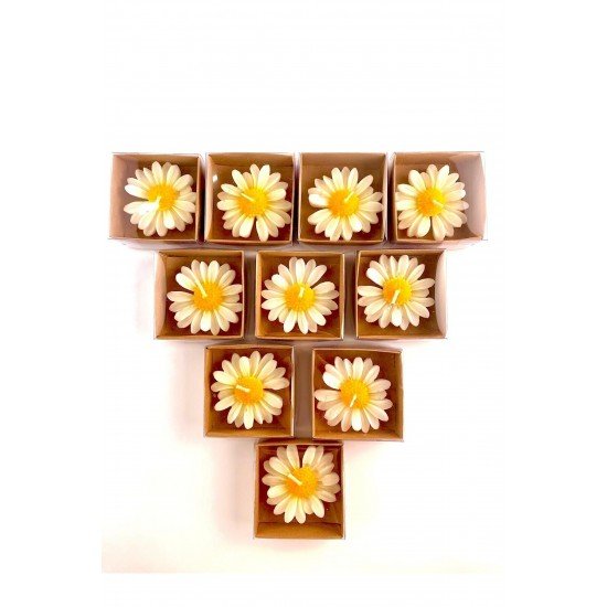 Pinterest 20 Adet Kraft Kutulu Papatya Mum, Söz, Nişan, Düğün, Kına, Doğum Günü, Özel Günler, Hediye