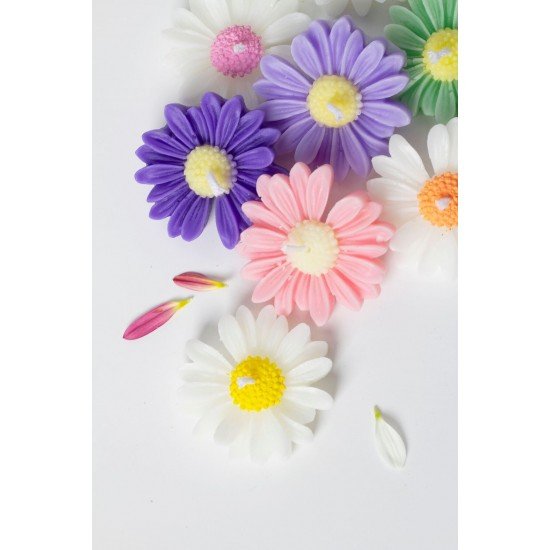 Bernamioffcial 10’lu Renkli Papatya Mum