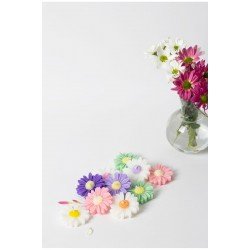 Bernamioffcial 10’lu Renkli Papatya Mum