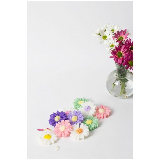 Bernamioffcial 10’lu Renkli Papatya Mum