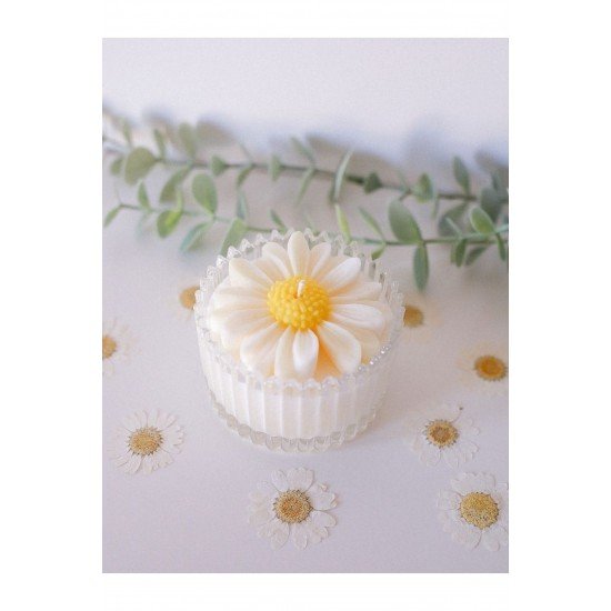 Dekoratif Kutulu Kokulu Papatya Mum