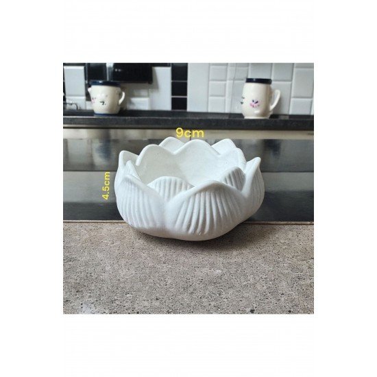 3lü set Lotus çiçeği & oval organizer tabak & Tealight mumluk & dekor süs & alçı mumluk