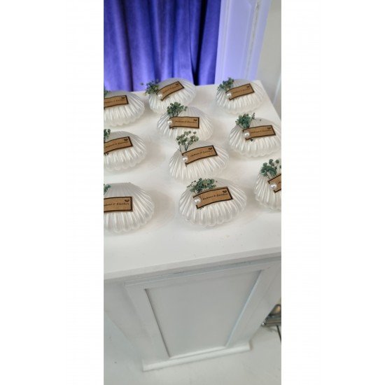 İstiridye Mum Hediyelik