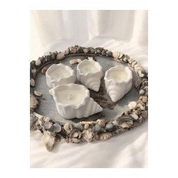 Deniz Kabuğu Tabanlı Mum - 1 Adet