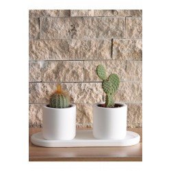 Mini Silindir Sukulent Saksı Oval Tabaklı Set Dekoratif Hediyelik Ham Beyaz