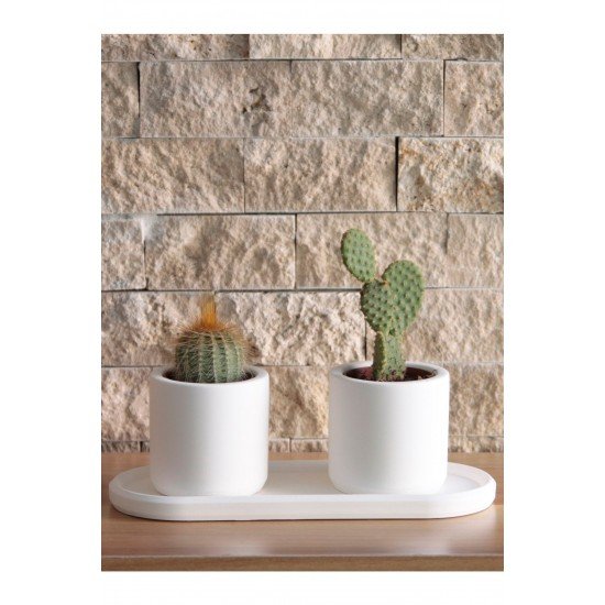 Mini Silindir Sukulent Saksı Oval Tabaklı Set Dekoratif Hediyelik Ham Beyaz