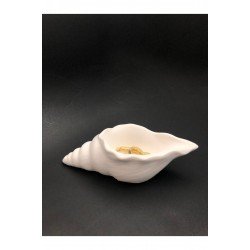 Deniz Kabuğu Tabak - Takı Tabağı