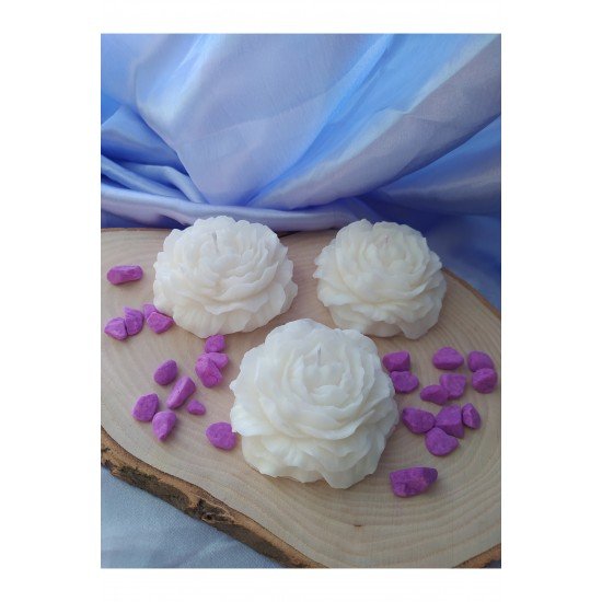 PİNTEREST ŞAKAYIK MUM 3 ADET