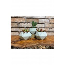Pinterest Üçlü Ham Beton Döküm Kaktüs Ve Skulent Saksı Seti Prizma