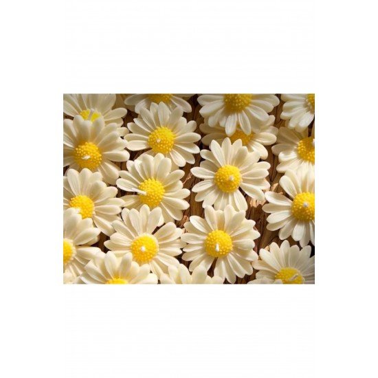 50 adet Hediyelik papatya mum