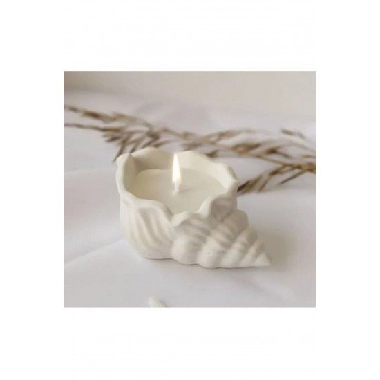 Pinterest 1 Li Set Istiridye Midye Deniz Kabugu Mumsuz Beton Ham 1 Adet Boyasız
